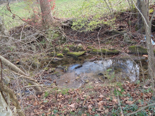 view of nature with a water view