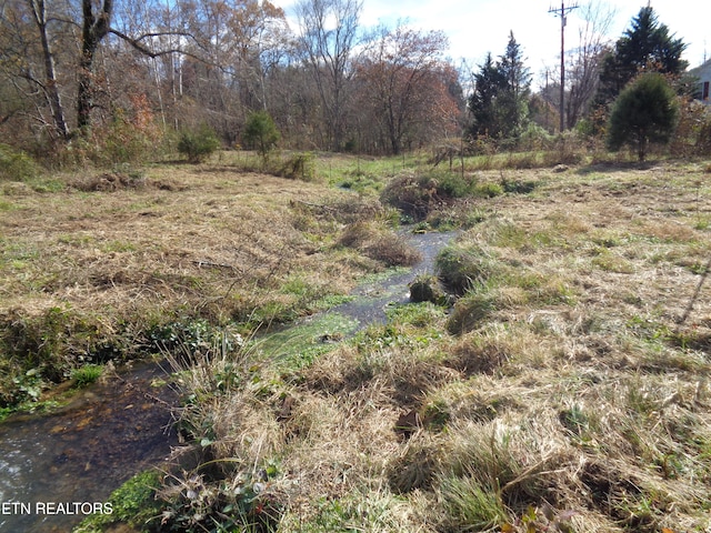 view of local wilderness