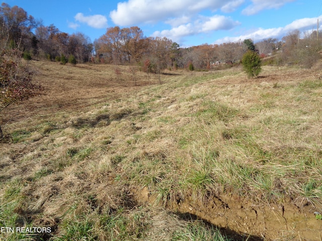 view of local wilderness featuring a rural view