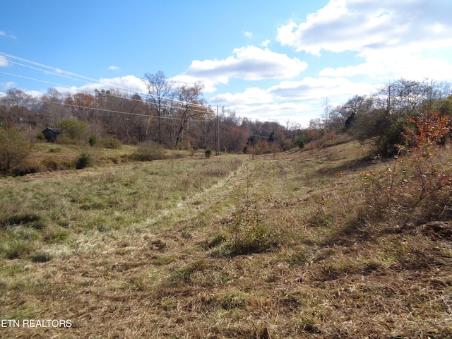 view of local wilderness with a rural view