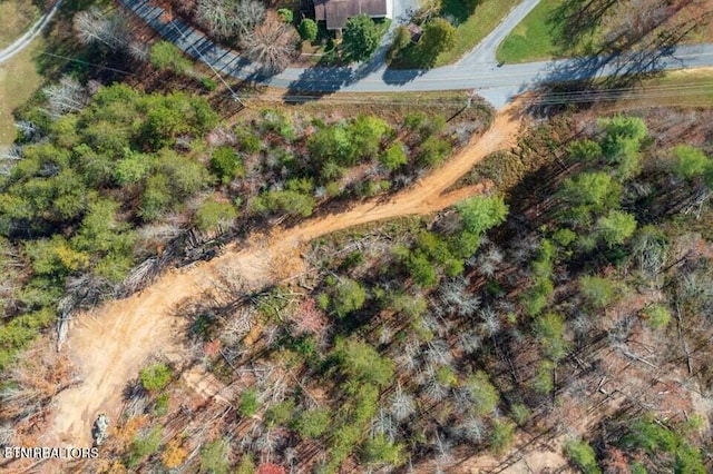 Little Valley Rd, Sevierville, TN 37862