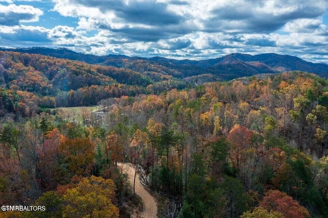 Little Valley Rd, Sevierville, TN 37862
