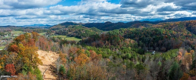 Little Valley Rd, Sevierville, TN 37862