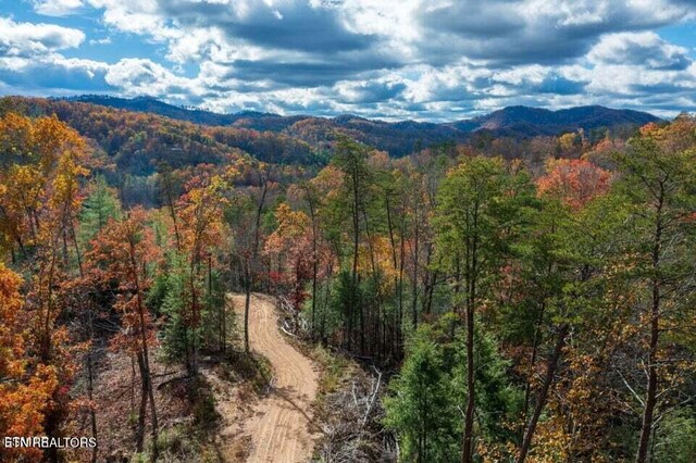 Little Valley Rd, Sevierville, TN 37862