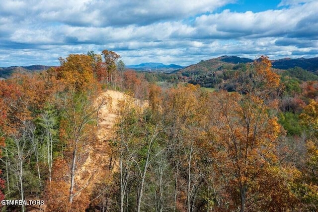 Little Valley Rd, Sevierville, TN 37862