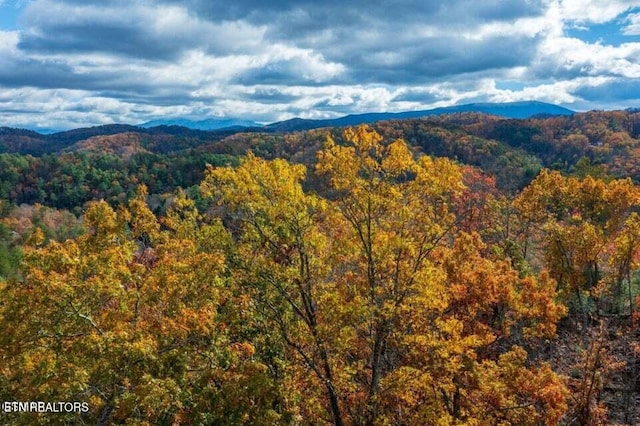 Little Valley Rd, Sevierville, TN 37862