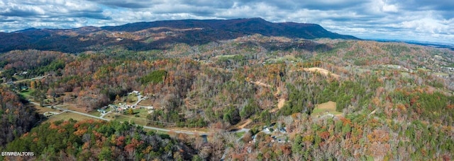 Little Valley Rd, Sevierville, TN 37862