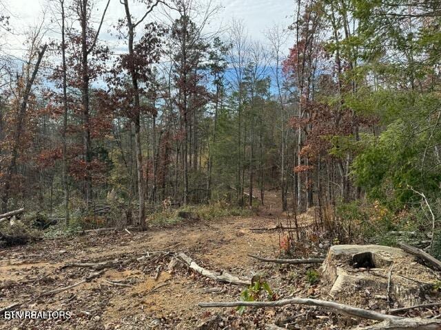 Little Valley Rd, Sevierville, TN 37862
