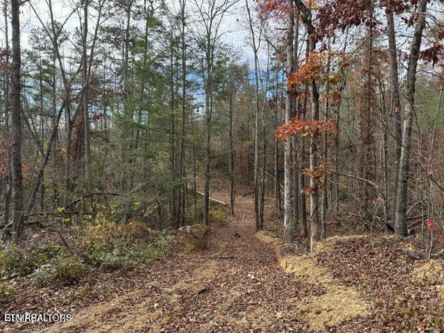 Little Valley Rd, Sevierville, TN 37862