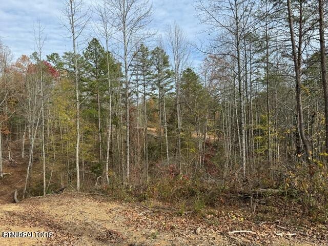 Little Valley Rd, Sevierville, TN 37862