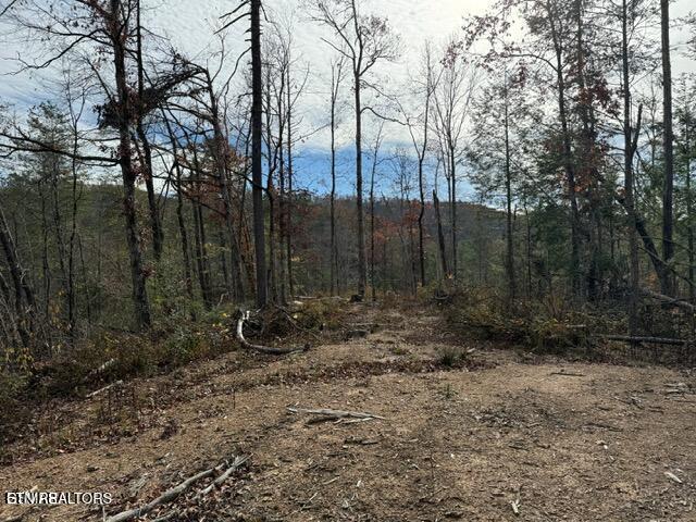 Little Valley Rd, Sevierville, TN 37862