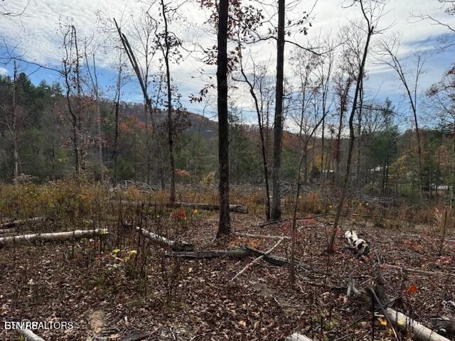 Little Valley Rd, Sevierville, TN 37862