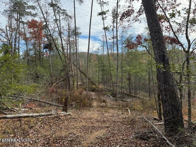 Little Valley Rd, Sevierville, TN 37862
