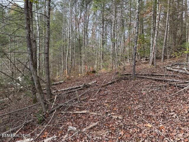 Little Valley Rd, Sevierville, TN 37862