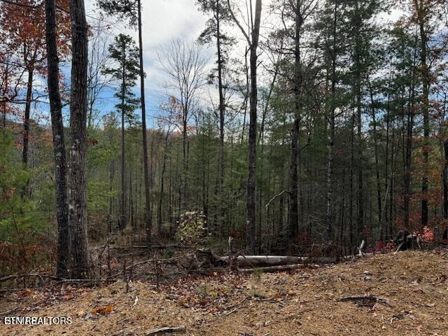 Little Valley Rd, Sevierville, TN 37862