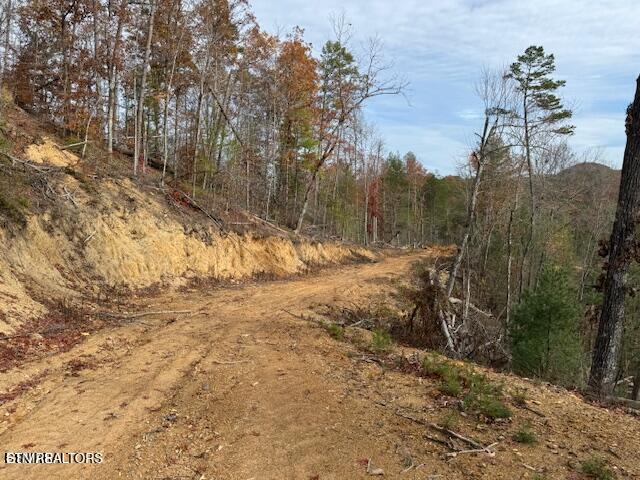 Little Valley Rd, Sevierville, TN 37862