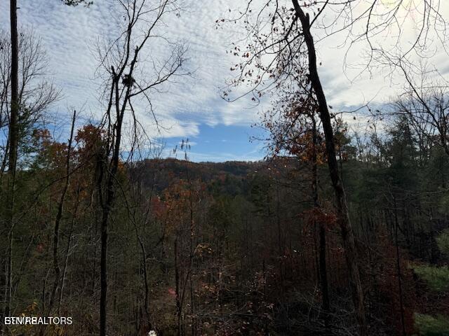 Little Valley Rd, Sevierville, TN 37862