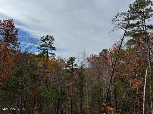 Little Valley Rd, Sevierville, TN 37862