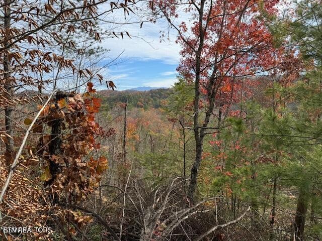 Little Valley Rd, Sevierville, TN 37862