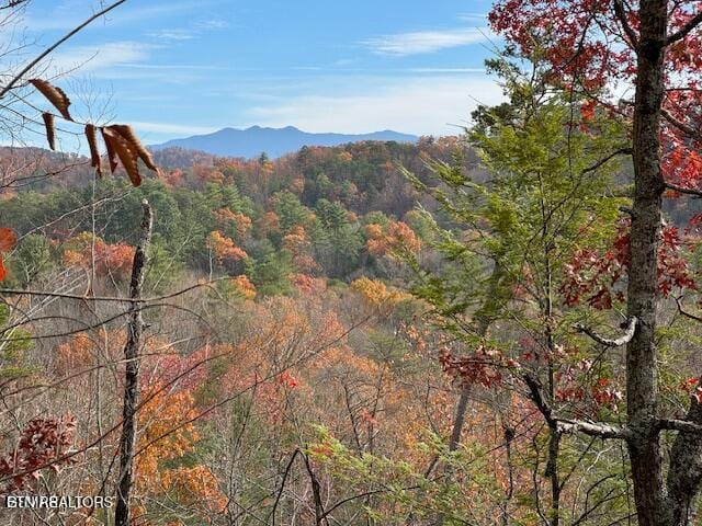 Little Valley Rd, Sevierville, TN 37862