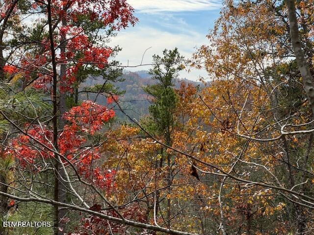 Little Valley Rd, Sevierville, TN 37862