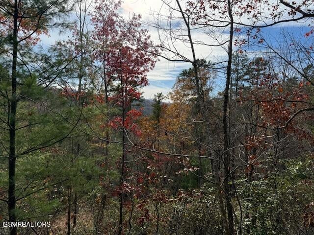 Little Valley Rd, Sevierville, TN 37862