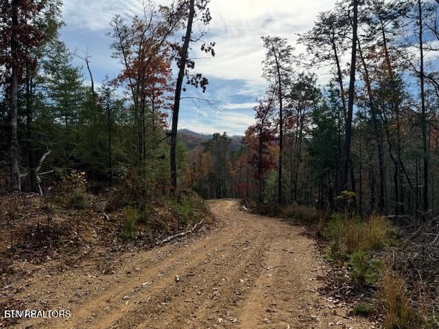 Little Valley Rd, Sevierville, TN 37862
