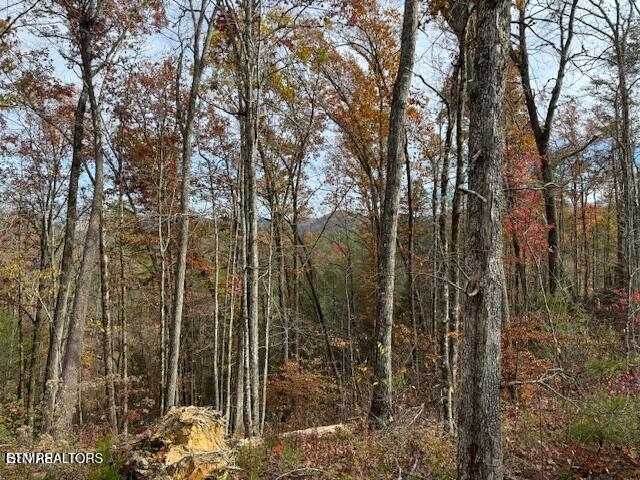 Little Valley Rd, Sevierville, TN 37862