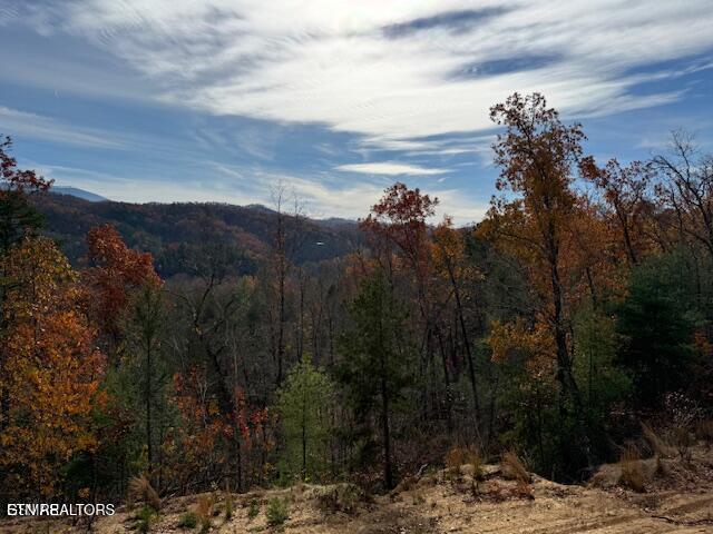 Little Valley Rd, Sevierville, TN 37862