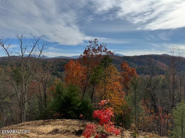 Little Valley Rd, Sevierville, TN 37862