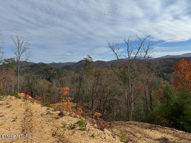 Little Valley Rd, Sevierville, TN 37862