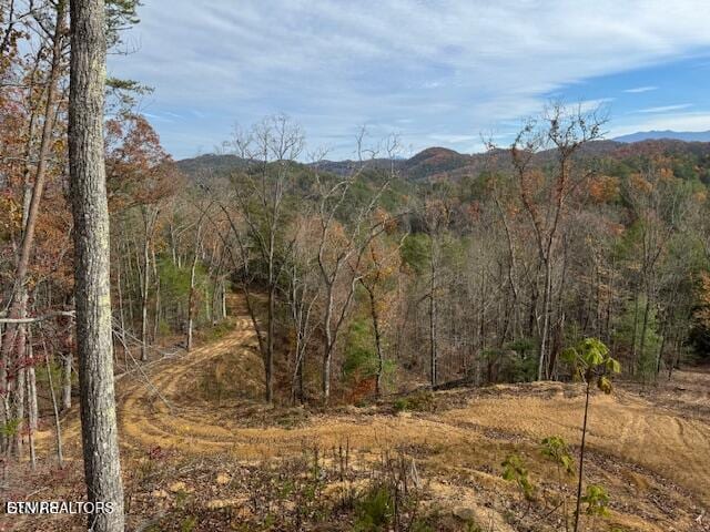 Little Valley Rd, Sevierville, TN 37862