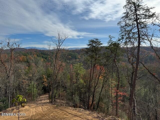 Little Valley Rd, Sevierville, TN 37862