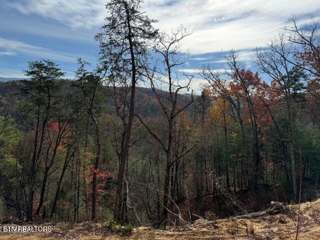 Little Valley Rd, Sevierville, TN 37862