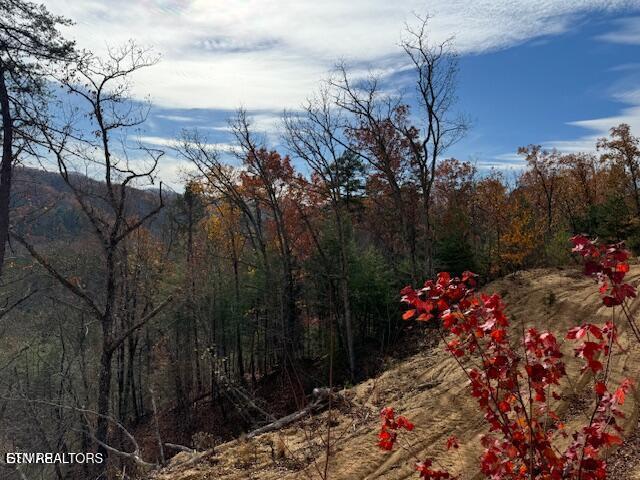 Little Valley Rd, Sevierville, TN 37862