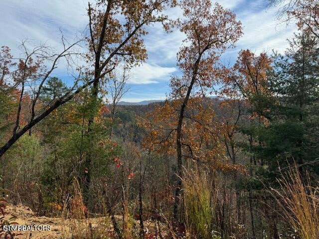 Little Valley Rd, Sevierville, TN 37862