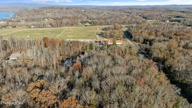 bird's eye view featuring a water and mountain view