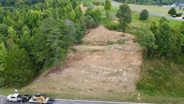 Meadow Ln Lot 40, Rockwood TN, 37854 land for sale