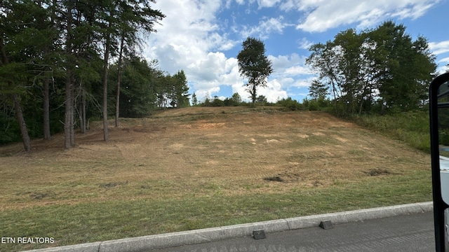 Listing photo 2 for Meadow Ln Lot 40, Rockwood TN 37854