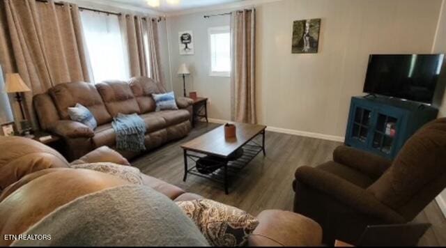 living room featuring wood-type flooring