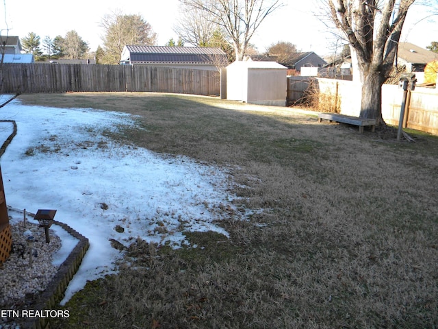 view of yard with a storage unit