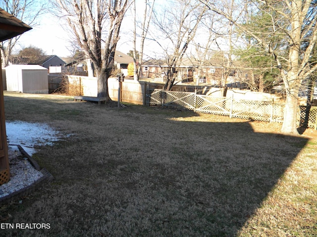 view of yard with a shed