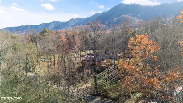 property view of mountains