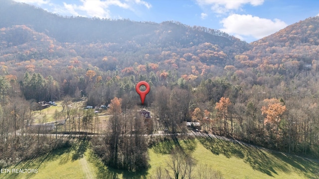 birds eye view of property with a mountain view