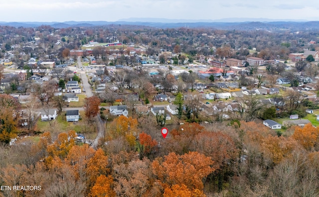 drone / aerial view