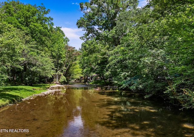 3018 Rivers Edge Dr, Cosby, TN 37722 - water view with a heavily wooded area