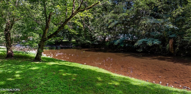 3018 Rivers Edge Dr, Cosby, TN 37722 - view of grassy yard with a water view and a forest view
