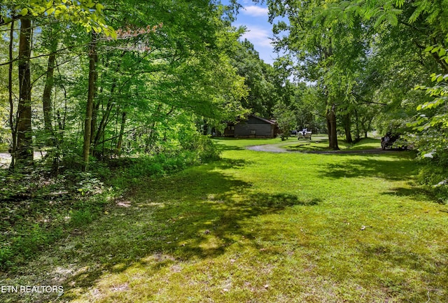 3018 Rivers Edge Dr, Cosby, TN 37722 - view of green lawn
