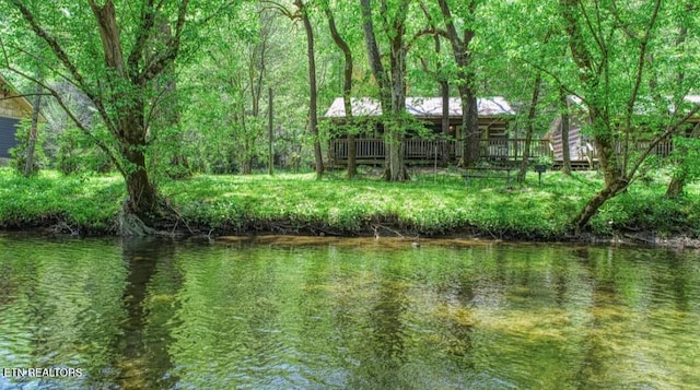 3018 Rivers Edge Dr, Cosby, TN 37722 - water view with a forest