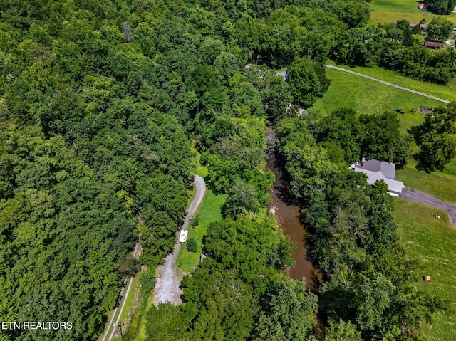 3018 Rivers Edge Dr, Cosby, TN 37722 - view of property location
